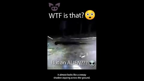 They Found Aliens in Their Farm 🚨👽