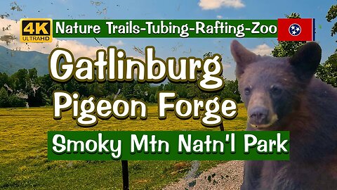 The Nature of Gatlinburg - Pigeon Forge - Smoky Mtn Nat'l Park