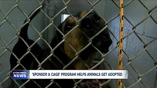 Niagara SPCA starts new 'Sponsor a Cage' program to help get shelter animals adopted