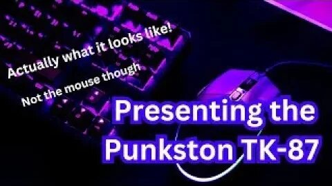 I GOT IT!!!!!! Introducing the Punkston TK-87