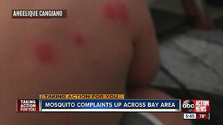 Mosquito Season: How to battle the bugs