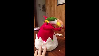 Grinch parrot attacks singing Christmas hat