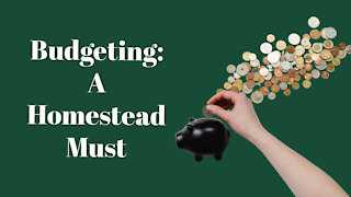 Budgeting: A Homestead Must [ podcast ]