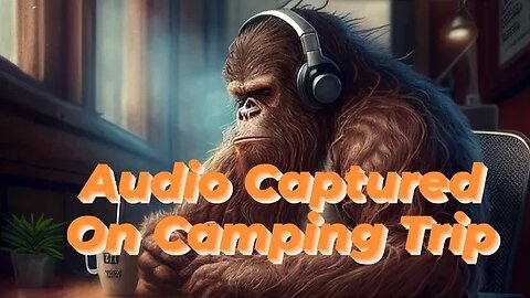 Audio Captured On Camping Trip