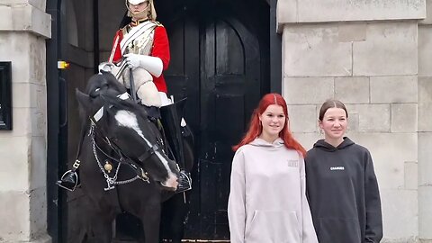 Horse gives a nip #horseguardsparade