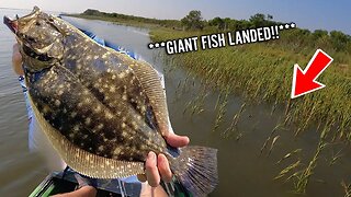 ***THIS is why you fish FLOODED GRASS*** - Flounder, Speckled Trout & Jack Crevalle | Heron Bay, AL