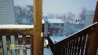 Fluffy snow falling in St. John's