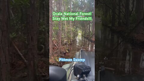 Getting Wet in a Bronco Raptor at Ocala National Forest! Pittman Swamp Entrance! #shorts