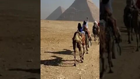 Camel ride to the Pyramids of Giza in Egypt... Man it's Hot! #shorts