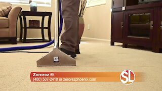 Scott Arkon of Zerorez ® says having a healthy home begins with carpet cleaning