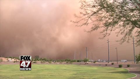 What's in a haboob? Poop and Valley Fever spores
