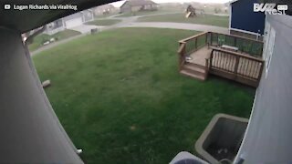 Des vents violents emportent les trampolines des habitants