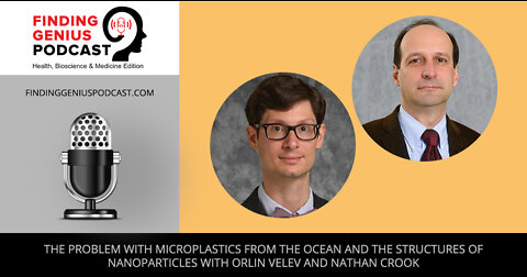 The Problem With Microplastics from the Ocean and the Structures of Nanoparticles