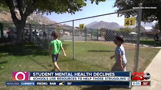 Student mental health declines
