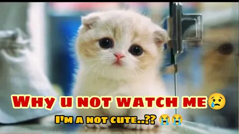 World's most Cute Baby Animals Videos Compilation ♥ Best Funny Pets Videos ever