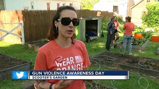 Healing garden honors gun violence victims