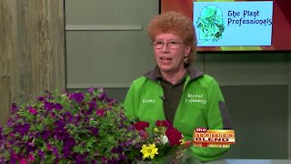 The Plant Professionals - 5/20/21