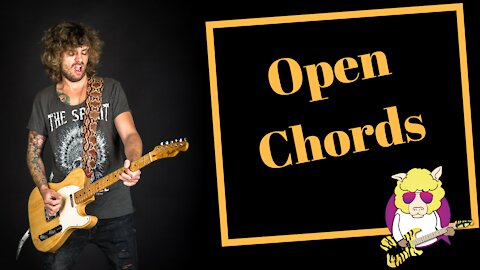Mr. Sheep's Guitar Lessons 🎸 Open Chords (first chords to learn)