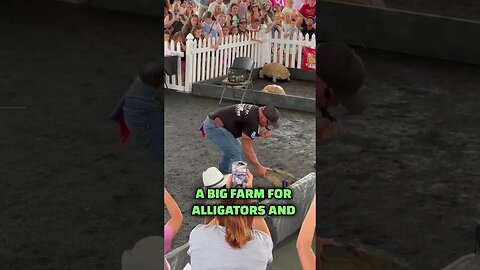 Kong the 13ft Alligator: A Tour of Celina Cajun Fest in Texas I Gator Country