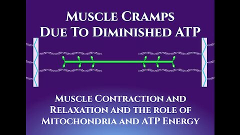Muscle Cramps Due To Diminished ATP-Energy