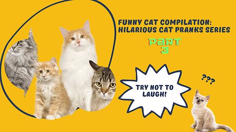 Funny Cat Compilation: Hilarious Cat Pranks Series - Part 3
