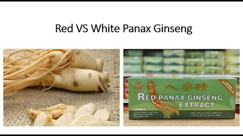 Red vs White Panax Ginseng - Which is better