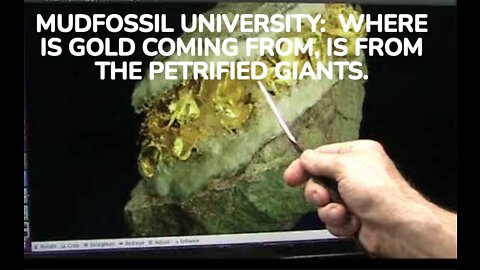 MUDFOSSIL UNIVERSITY: WHERE IS GOLD COMING FROM, IS FROM THE PETRIFIED GIANTS.