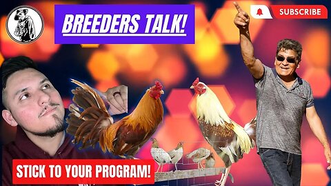 BREEDERS TALK /How To Remain ELITE in GAMEFOWL