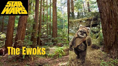 Who Are The Ewoks? Full Story And Discussion