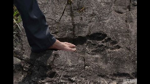 New! Footprints in Stone (2013)