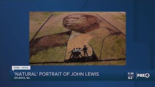 A "natural" portrait of John Lewis