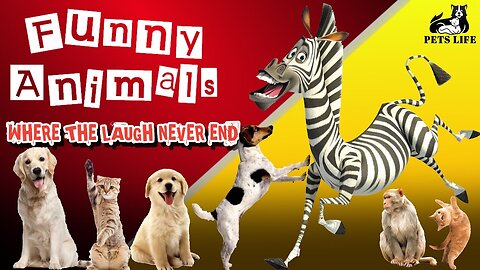Best Trending Funny Animals video 2023 😅 Funniest Cats and Dogs #funnydogs #funnycats #funnyanimals