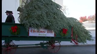 Christmas tree arrives at the White House