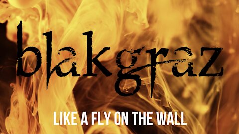 Like a Fly on the Wall by Blakgraz
