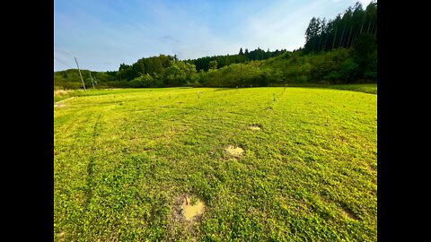 日本カルスト大地のポリエ・ガーデン作業Japan Karst Earth Polier Garden Work