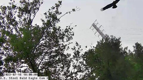 USS Bald Eagle Cam 3 7-16-23 @ 18:06;58 Hop flips upside down and hangs before flying off