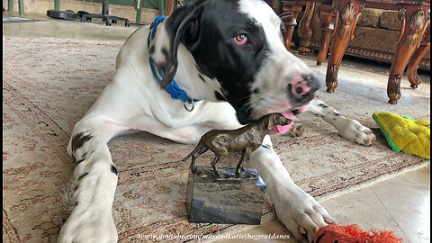 Great Danes Like Bronze Fine Art Pointer Statue