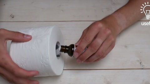How to create an air freshener inside a toilet paper roll