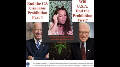 End the GA Cannabis Prohibition Part 4 (MORE Act) (GA Bills SB263...)