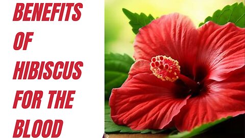 Benefits of hibiscus for the blood