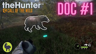 The Hunter: Call of the Wild, Doc #1
