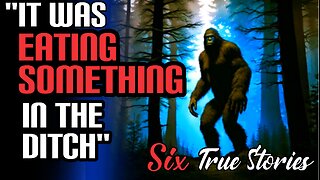 Real Encounters: 6 Unexplained Bigfoot Sighting True Stories