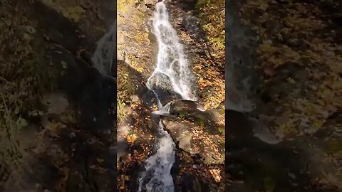 Amicalola Falls State Park in fall 🍁
