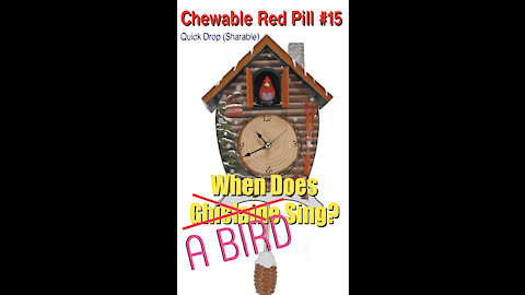 💊CHEWABLE RED PILL #15: 🐥When Does A Bird Sing? (Ghislaine)