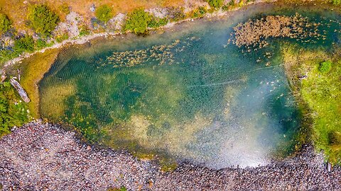 UNBELIEVABLE Creek TROUT FISHING In Patagonia Chile! 