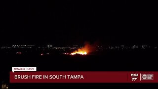 Large brush fire erupts in South Tampa