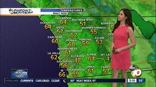 10News Pinpoint Weather for Sun. January 14, 2018