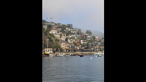 Catalina Island June 2022