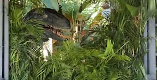 Tourists meet scary Velociraptor from Jurassic World