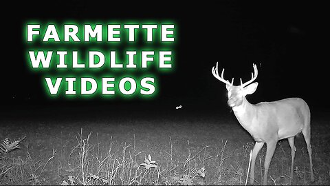 Farmette Wildlife VIDEO - Landman Realty LLC